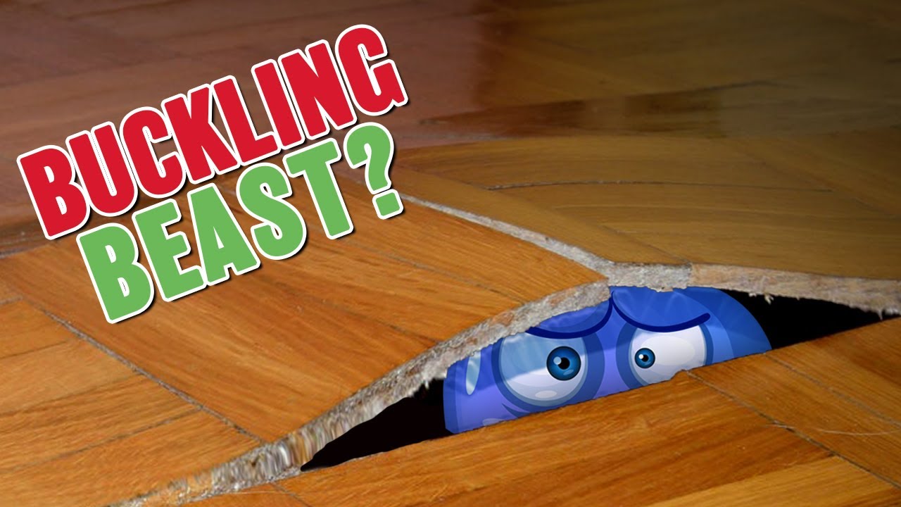 Hardwood Floor Problems [“Buckling Hardwood Floors” Series 3 of 6]